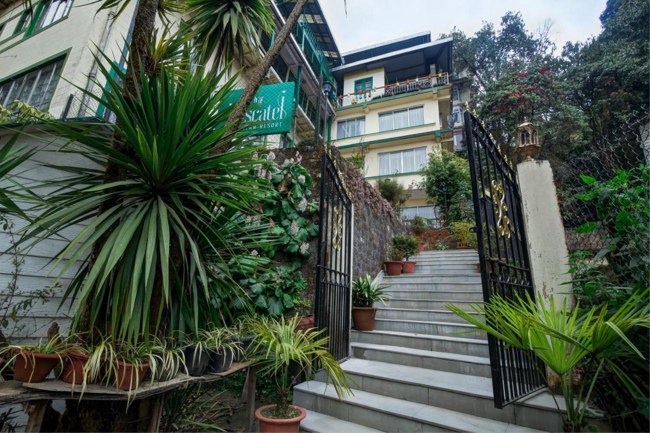 דרג'ילינג Muscatel Himalayan Resort - 400 Mts From Mall Road מראה חיצוני תמונה